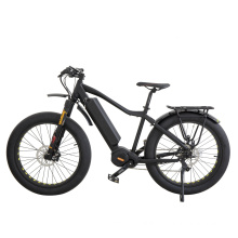 2018 Popular Fat Tire Electric Bicycle with Good Quality
